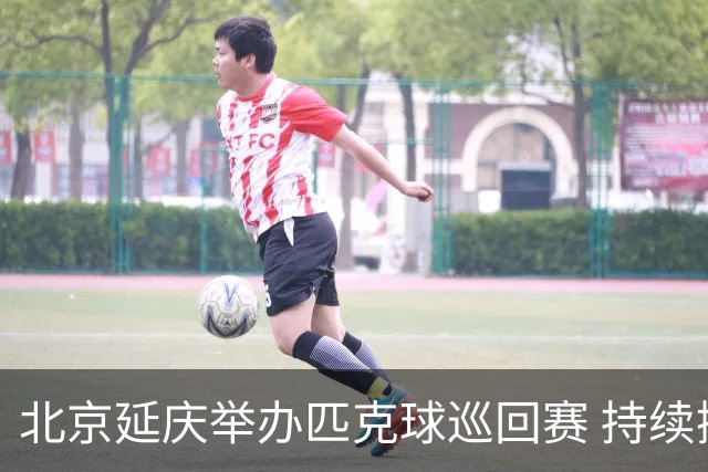 北京延庆举办匹克球巡回赛 持续擦亮户外运动城市名片